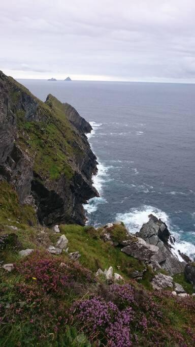 Апартаменты Skellig View Bluebell Rose & The Kerry Cliffs Портмаги Экстерьер фото